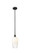 Edison One Light Mini Pendant in Matte Black (405|616-1S-BK-G484-7OP)
