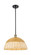 Ballston One Light Mini Pendant in Black Antique Brass (405|516-1S-BAB-NBD2-16-NAT)