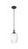 Ballston One Light Mini Pendant in Black Antique Brass (405|516-1P-BAB-G480-6OP)