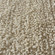 Caramont Rug in Ivory (52|73096-8)