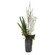 Eterna Orchid Vase Centerpiece in White (52|60265)