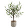 Solea Olive Vase in Green And Silvery (52|60264)