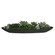 Verde Bowl Centerpiece in Black (52|60260)