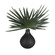 Axis Palm Vase in Matte Black (52|60259)