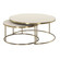 Aragon Coffee Tables Set/2 in Brass (52|50370)
