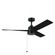 Spyn Lite 52'' Ceiling Fan in Black (12|300375BK)