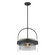 Ravik One Light Convertible Pendant/Semi-Flush Mount in Dark Matte Black (7|1916-899)