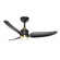 Hugo 42'' Ceiling Fan in Brushed Gold/Matte Black (347|CF72942-BG/MB-5CCT)