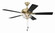 EOS 2 Light Clear Bowl 52'' Ceiling Fan 52'' Ceiling Fan in Satin Brass (46|ECF201SB5-BWNFB)