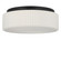 Axira Two Light Flush Mount in Midnight Black (1|GLF1992MBKE)