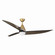 Lirden 65'' Ceiling Fan in Heritage Brass (15|F758L-HBR/DB)