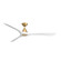 Carve 72'' Ceiling Fan in Soft Brass/Distressed Koa (441|FR-D2504-72-SB/DK)
