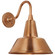 Academy Barn Light LED Barn Light in Soft Copper (268|TOB 2816SC/S1-SC)