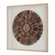 Tiger Sea Urchin Shadow Box in Natural Pine Wood (52|03501)