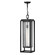 Republic LED Hanging Lantern in Black (13|1006BK)