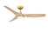 Lizza 56'' Ceiling Fan in Brushed Satin Brass (26|FPD6656BSN)
