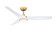 Lizza 56'' Ceiling Fan in Brushed Satin Brass (26|FPD6656BSMW)