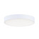 Trim-Eco LED Flush Mount in White (16|57335WTWT)