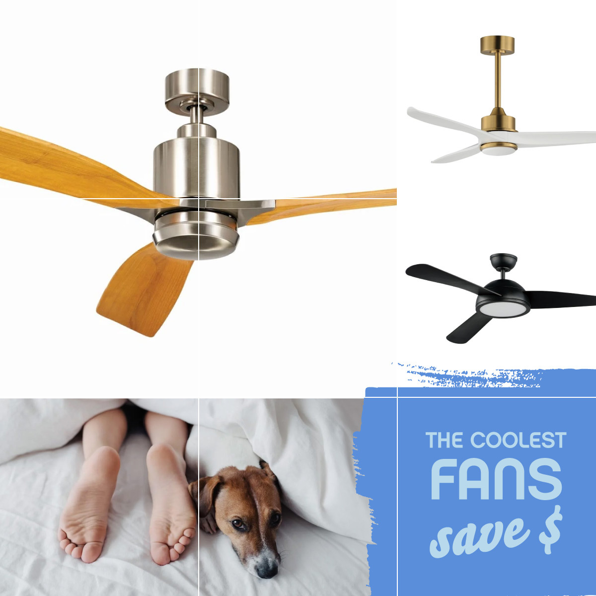 Trends in Lighting Madison Wisconsin