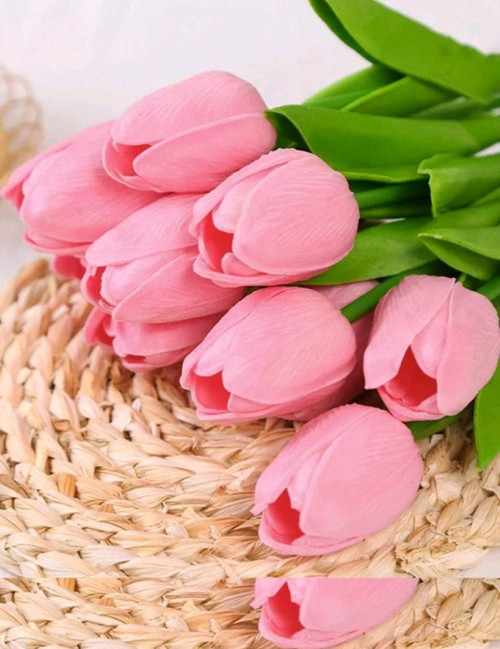 Tulip  Pink