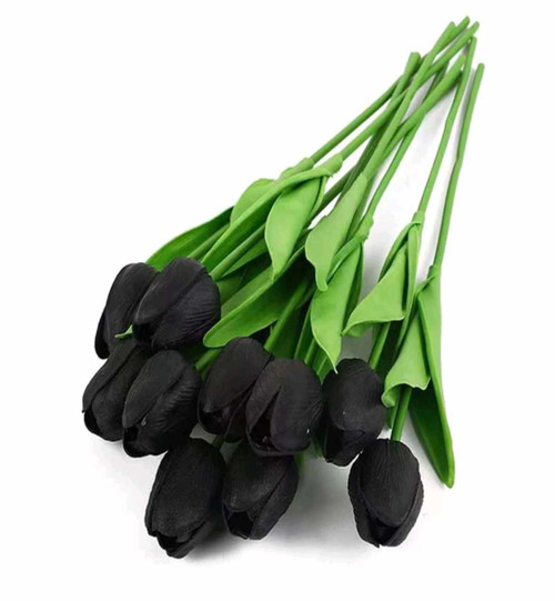 Tulip Black