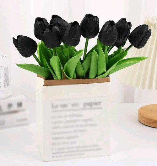 Tulip Black