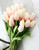 Tulip shaded White / Pink