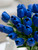 Tulip Blue