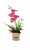 Artificial Flowers Orchid - Pink "Best"