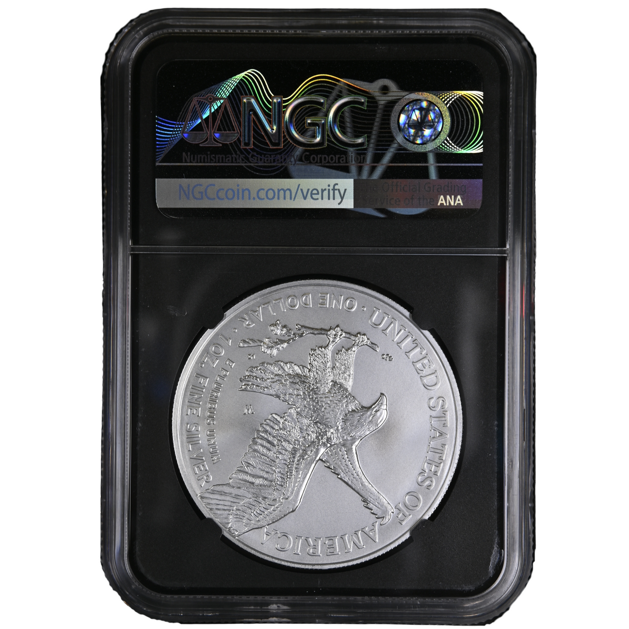 2021 W $1 American Burnished Silver Eagle Type 2 First Day of