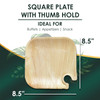 8.5" Plate with Thumb hold