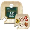8.5" Plate with Thumb hold