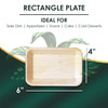 6" x 4" Rectangle Plate