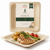 Planet Pantry Disposable Poplar Wood Plate 8 Inch Square 25ct - Premium Wooden Dinner Plate Compostable