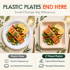 Planet Pantry Natural Wood Plate 8 Inch vs Plastic - Elevated Dinner Presentation Natural Wood Beauty