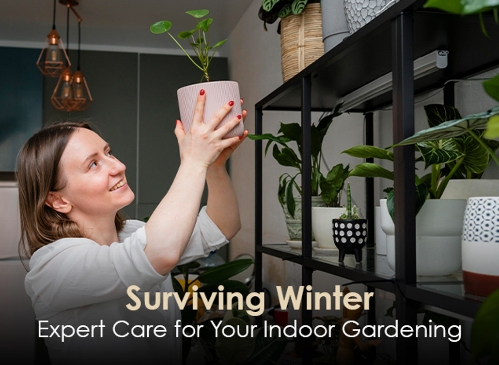 Surviving Winter: Expert Care for Your Indoor Gardening