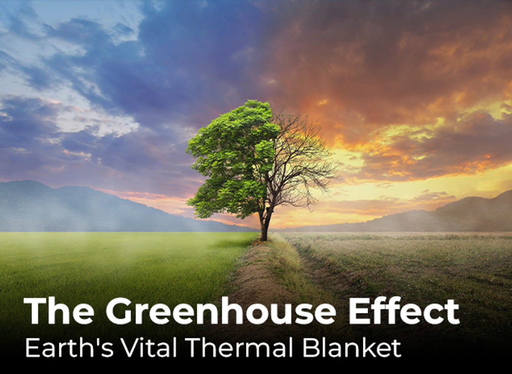 The Greenhouse Effect: Earth's Vital Thermal Blanket