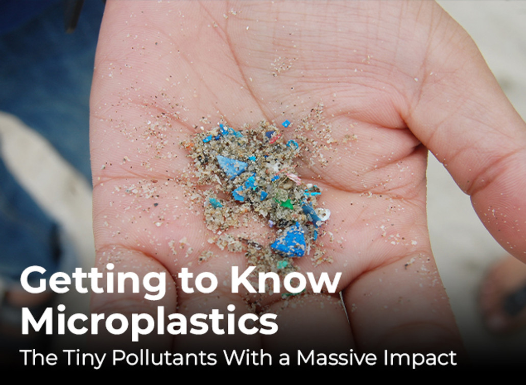 Getting to Know Microplastics: The Tiny Pollutants With a Massive Impact