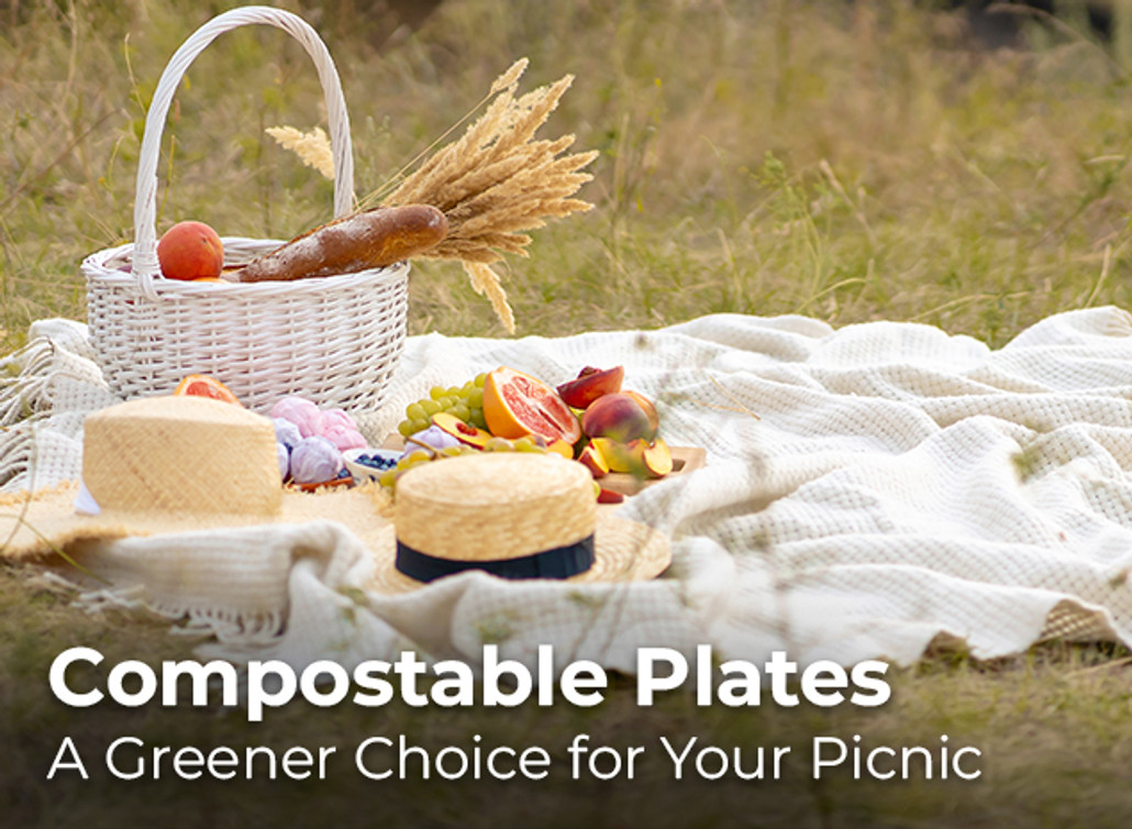 "Compostable Plates: A Greener Choice for Your Picnic"