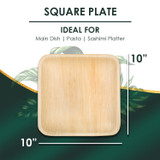 10" Square Plates