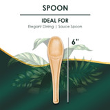 Disposable 6" Spoon, a compostable bamboo like cutlery. a plastic alternative for wedding and birthday party.