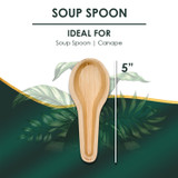 The size of compostable Disposable soup spoon. They are leak proof, sturdy, cut resistant, microwavable