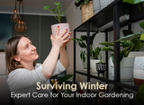 Surviving Winter: Expert Care for Your Indoor Gardening