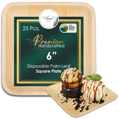 disposable 6" Square Plates compostable bamboo like plastic alternative for wedding birthday party