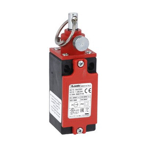 RS131310