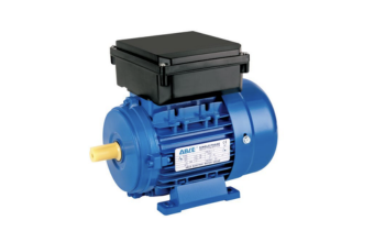 Single-phase motors