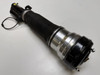 MERCEDES BENZ S500 S430 S55 AMG W220 FRONT AIR STRUT ASSEMBLY AS-2193