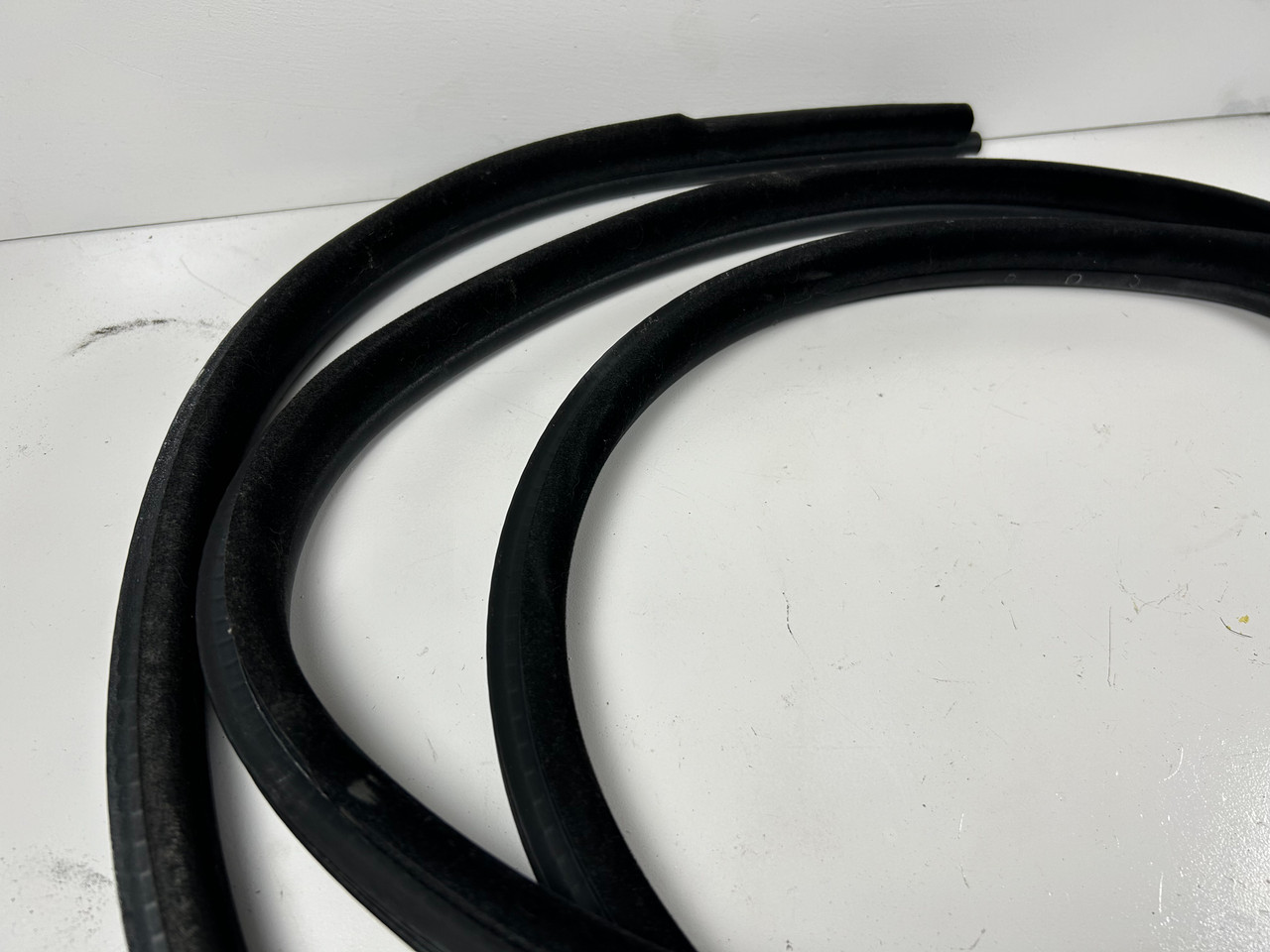 1999-03 BMW E39 5-SERIES PASSENGER FRONT DOOR RUBBER WEATHER STRIP 8259913