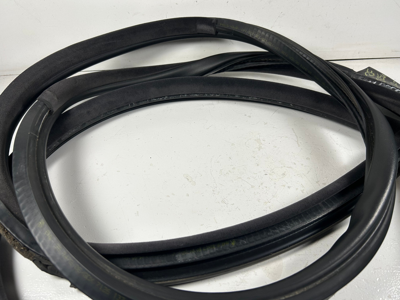 BMW E46 M3 330ci 325ci PASSENGER DOOR WEATHER STRIP GASKET 7161688