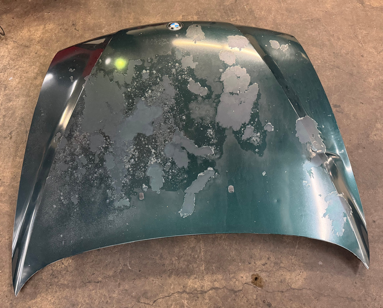 1998-03 BMW e39 M5 540i 530i 525i 528i HOOD OEM 8238592